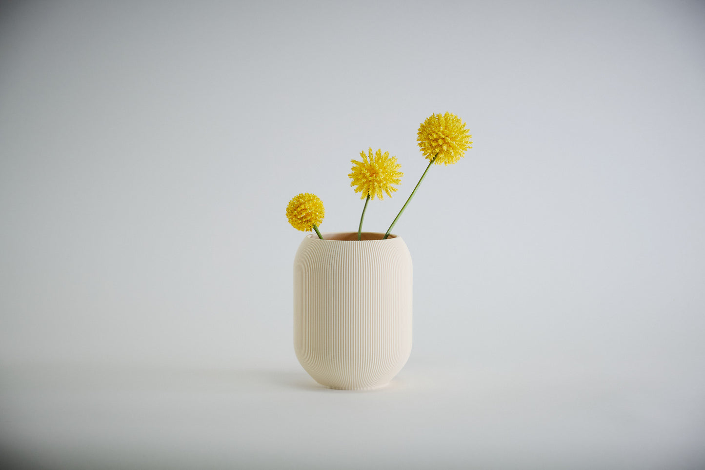 Aspen Vase  I  STYLE 02 Pod - Honey and Ivy