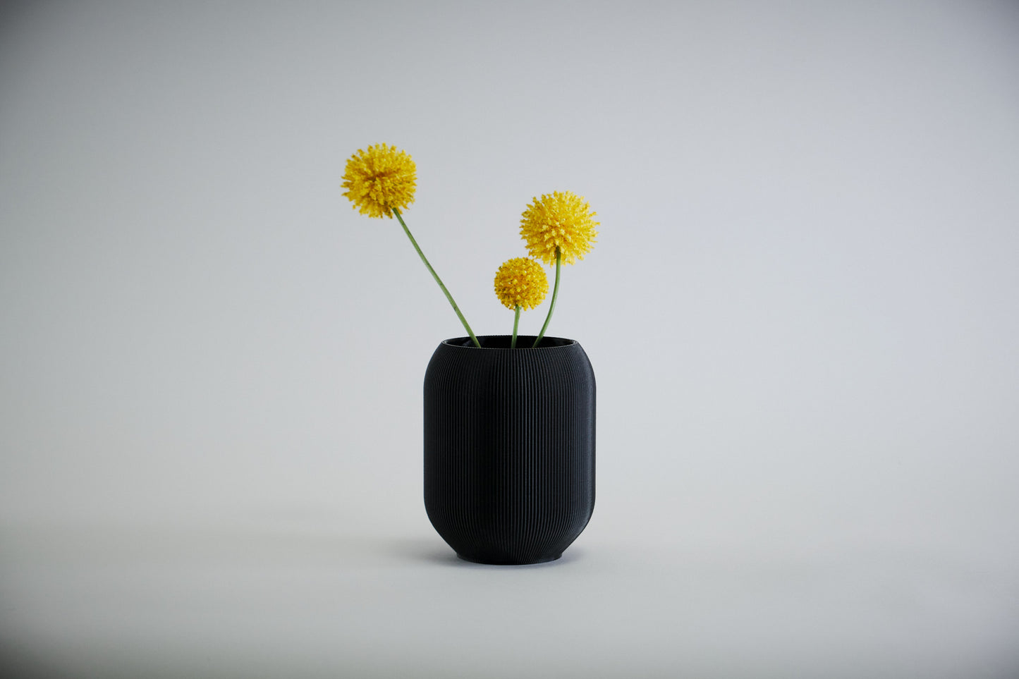 Aspen Vase  I  STYLE 02 Pod - Honey and Ivy