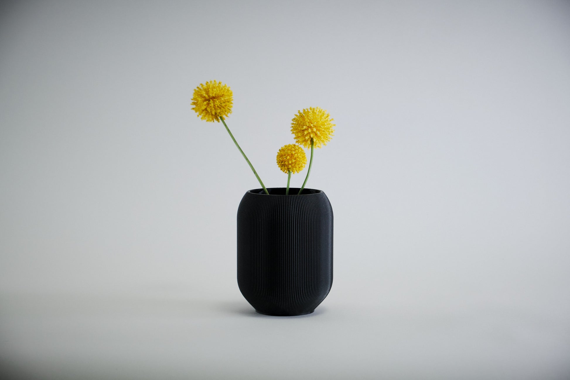 Aspen Vase  I  STYLE 02 Pod - Honey and Ivy