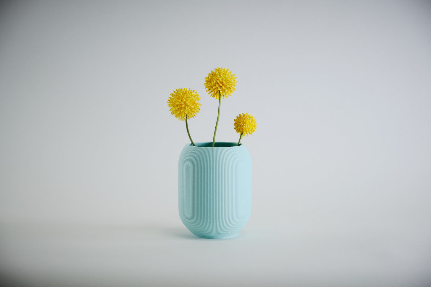 Aspen Vase  I  STYLE 02 Pod - Honey and Ivy