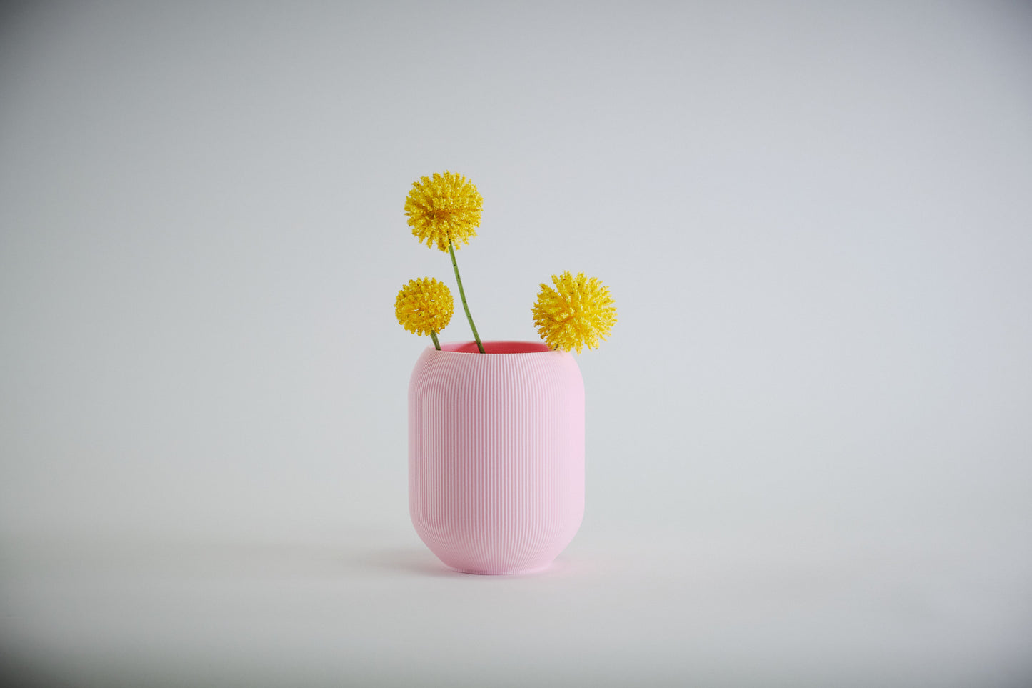 Aspen Vase  I  STYLE 02 Pod - Honey and Ivy