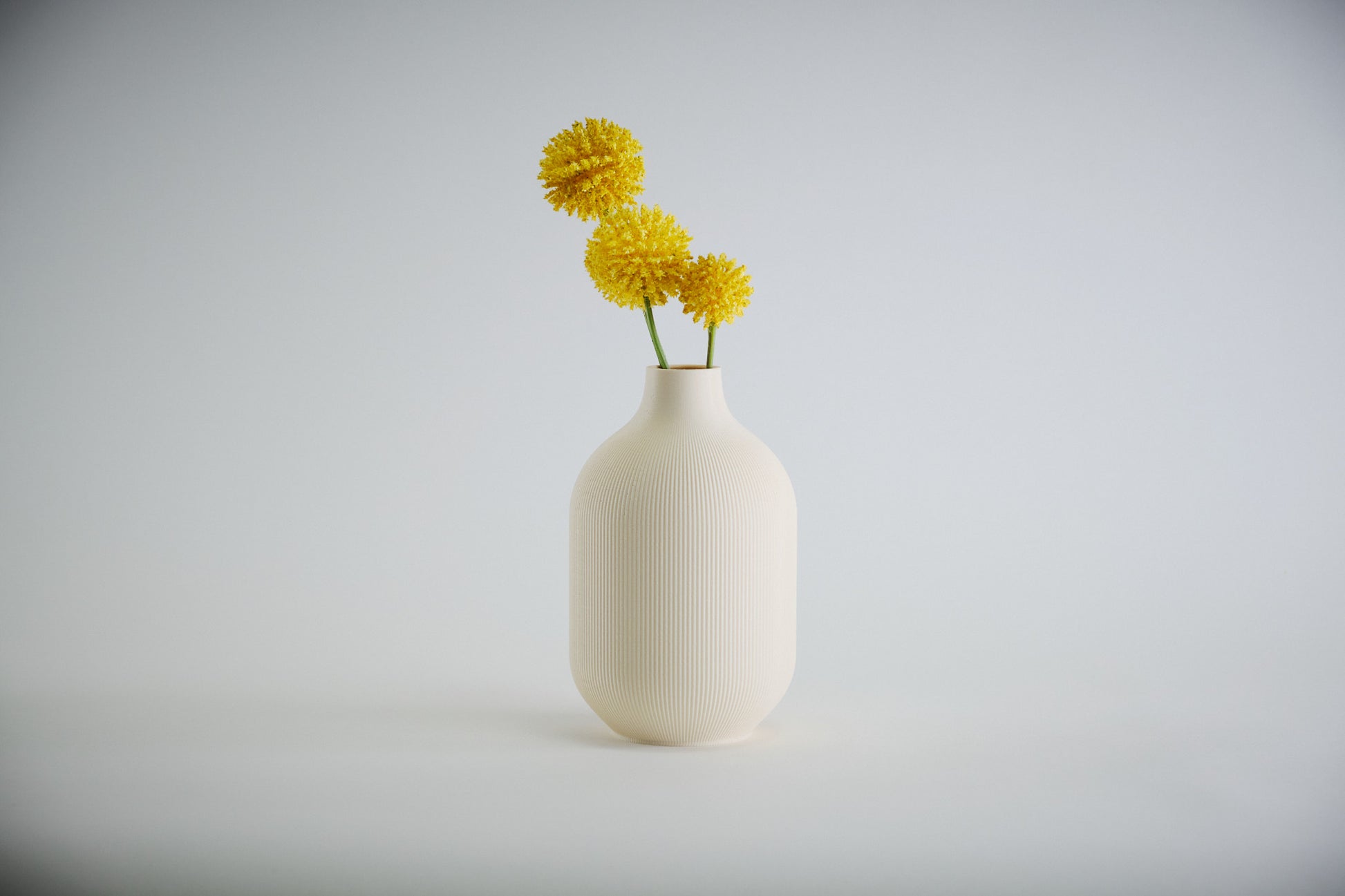 Aspen Vase  I  STYLE 01 Curves - Honey and Ivy