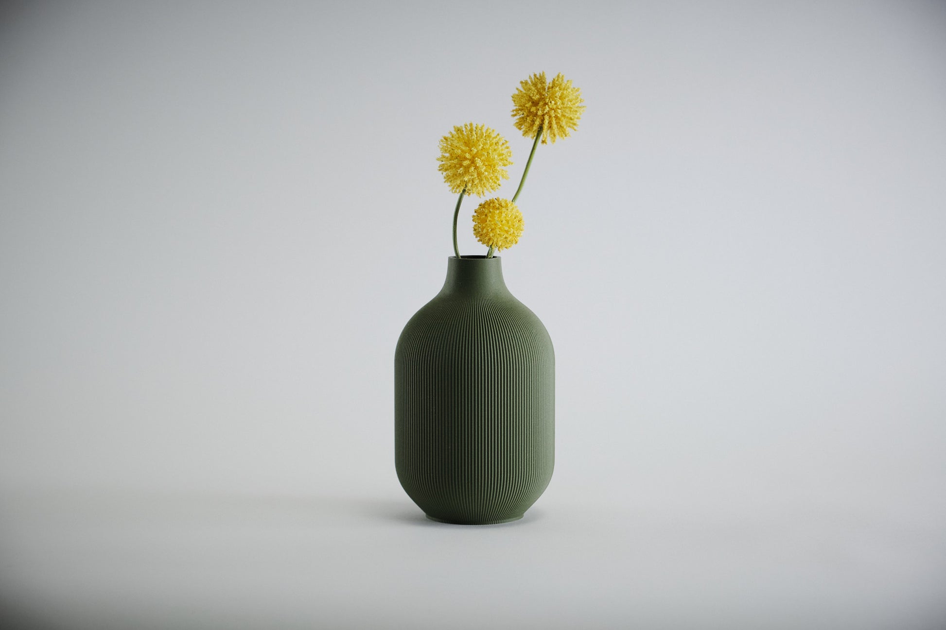 Aspen Vase  I  STYLE 01 Curves - Honey and Ivy