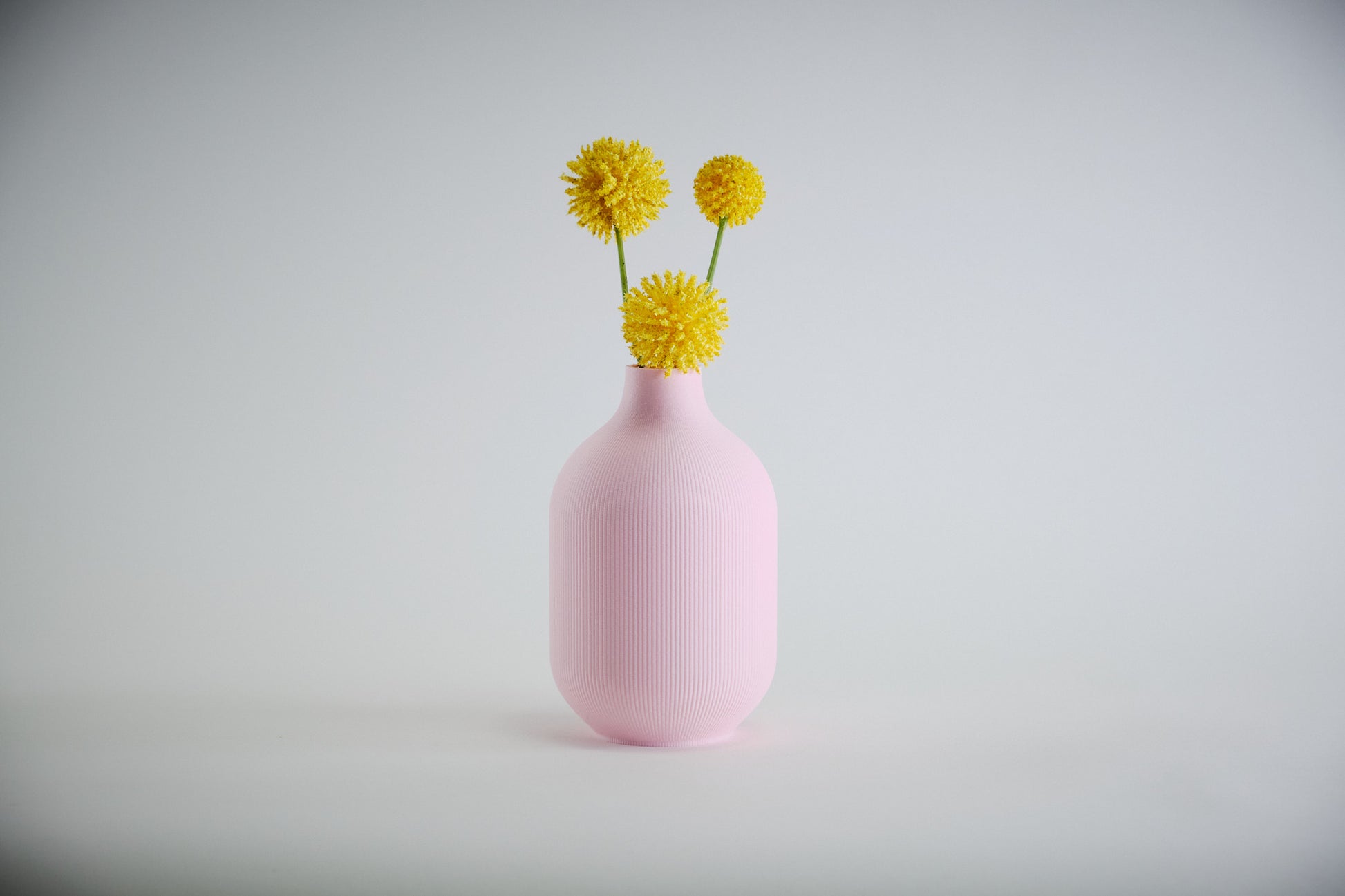 Aspen Vase  I  STYLE 01 Curves - Honey and Ivy