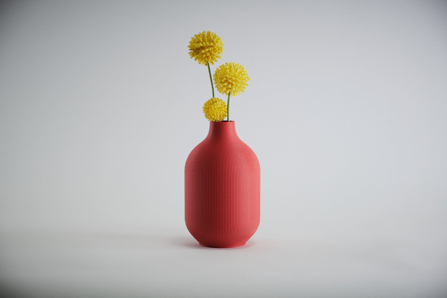 Aspen Vase  I  STYLE 01 Curves - Honey and Ivy