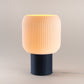 Aspen Plus Modern Table Lamp | Warm Ambient Lighting