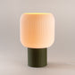 Aspen Plus Modern Table Lamp | Warm Ambient Lighting