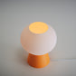 Mooshie Table Lamp - Honey and Ivy 