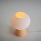 Mooshie Table Lamp - Honey and Ivy 