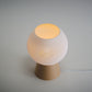 Sofie Table Lamp - Honey and Ivy 
