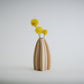 Mila Decor Vase | Style 02 - Honey and Ivy 