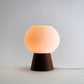 Mooshie Table Lamp - Honey and Ivy 