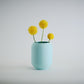 Aspen Vase  I  STYLE 02 Pod - Honey and Ivy 