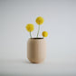 Aspen Vase  I  STYLE 02 Pod - Honey and Ivy 
