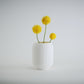 Aspen Vase  I  STYLE 02 Pod - Honey and Ivy 