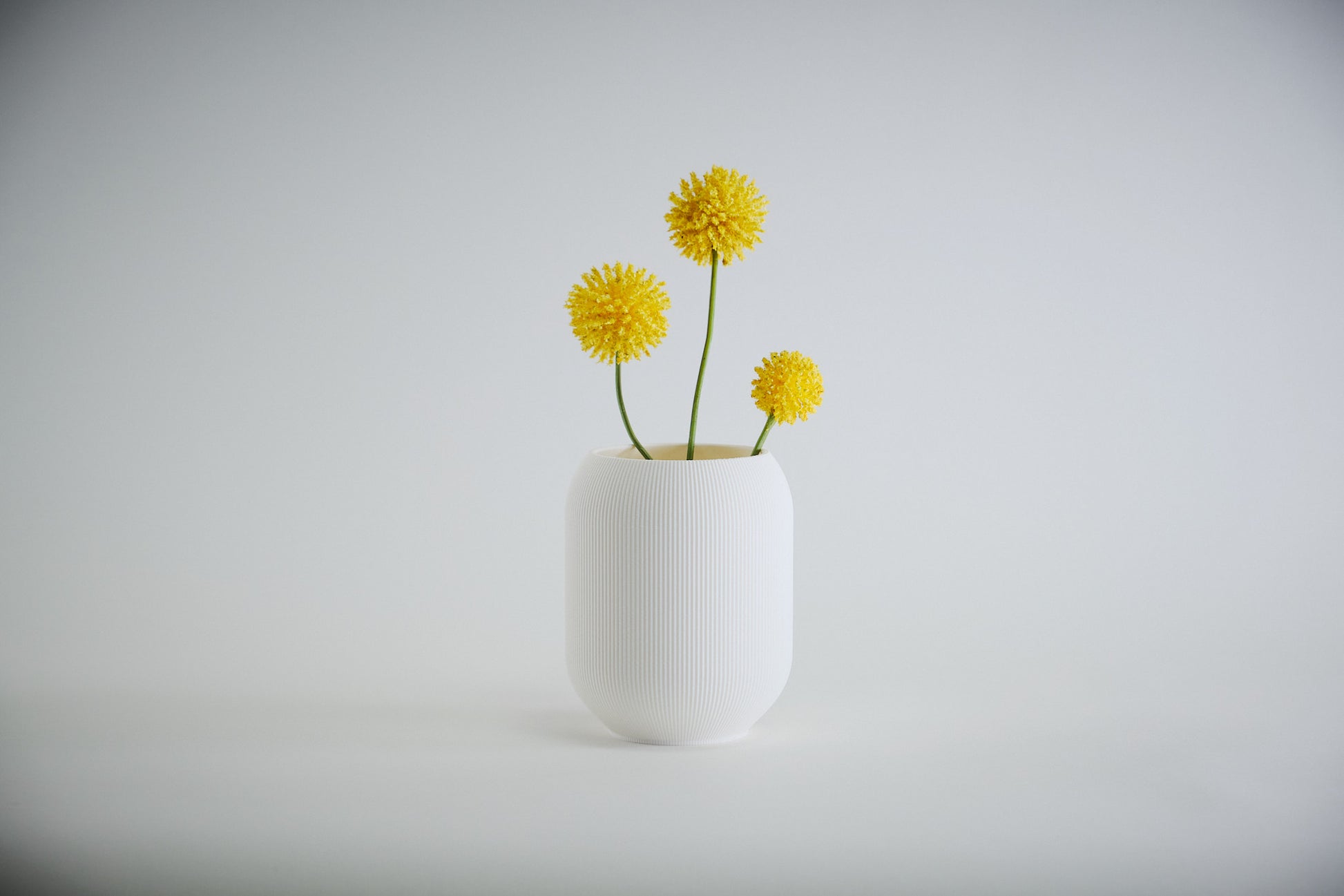 Aspen Vase  I  STYLE 02 Pod - Honey and Ivy 
