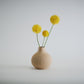 Aspen Vase  I  STYLE 03 Round - Honey and Ivy 