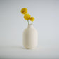 Aspen Vase  I  STYLE 01 Curves - Honey and Ivy 