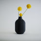 Aspen Vase  I  STYLE 01 Curves - Honey and Ivy 